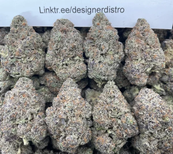 #220C Melted Gelato